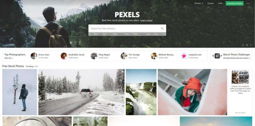 Pexels Screenshot